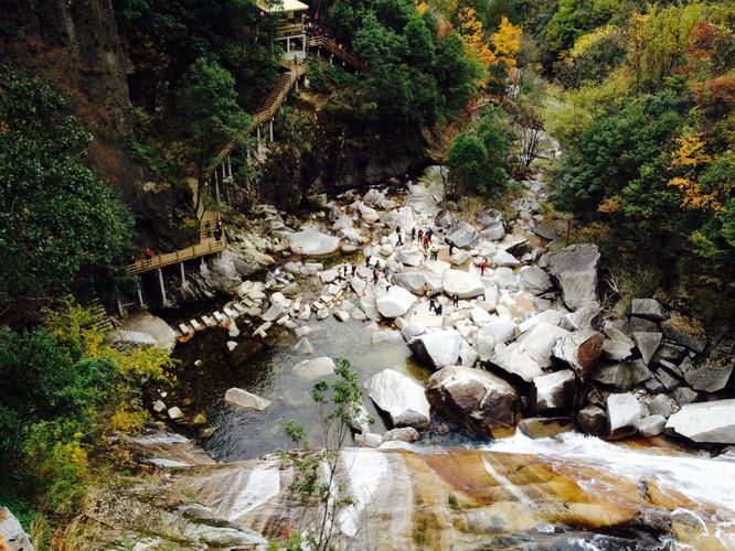 逃出猫头鹰岛